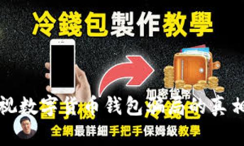 揭秘央视数字货币钱包骗局的真相与警示