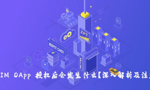 TokenIM DApp 授权后会发生什么？深入解析及注意事项