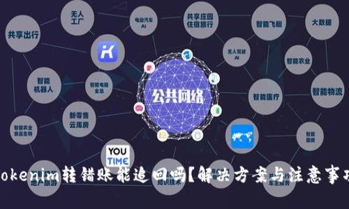 Tokenim转错账能追回吗？解决方案与注意事项