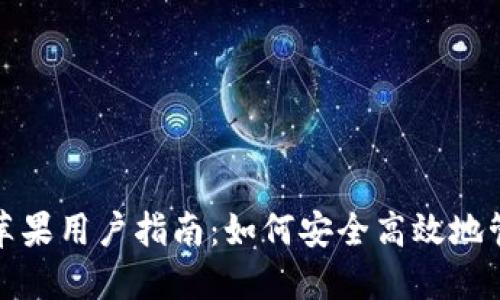 ImToken国际版苹果用户指南：如何安全高效地管理你的数字资产