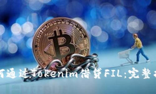 如何通过Tokenim借贷FIL：完整指南