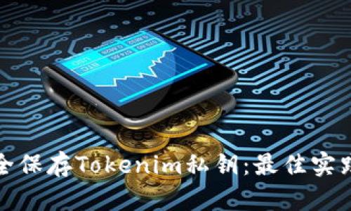 如何安全保存Tokenim私钥：最佳实践与策略