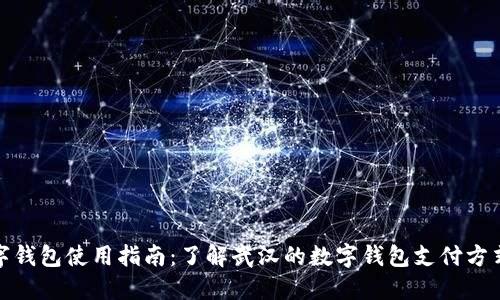 武汉数字钱包使用指南：了解武汉的数字钱包支付方式及优势