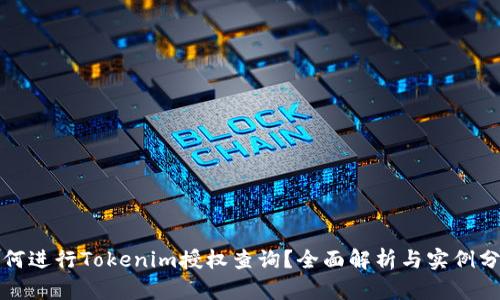 如何进行Tokenim授权查询？全面解析与实例分析