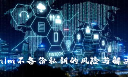 Tokenim不备份私钥的风险与解决方案