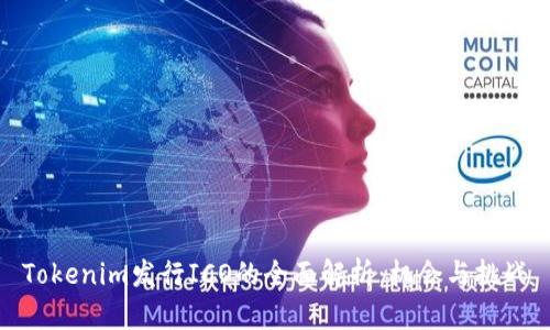 Tokenim发行ICO的全面解析：机会与挑战