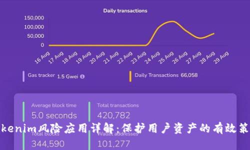 Tokenim风险应用详解：保护用户资产的有效策略