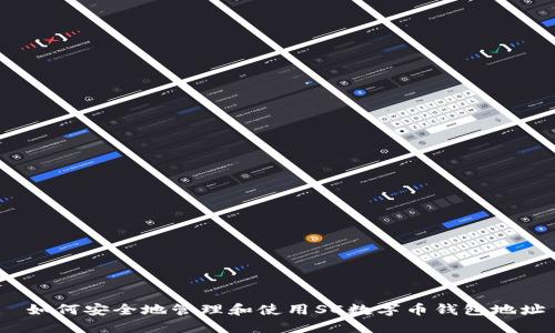 如何安全地管理和使用SC数字币钱包地址