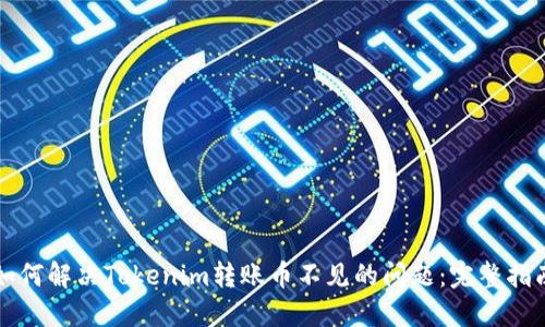 如何解决Tokenim转账币不见的问题：完整指南