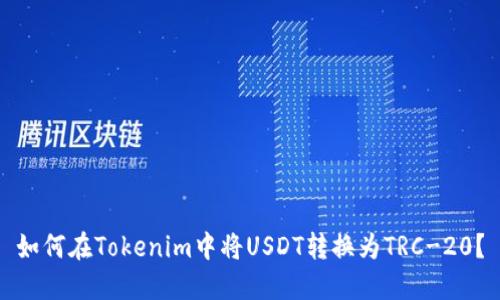 如何在Tokenim中将USDT转换为TRC-20？