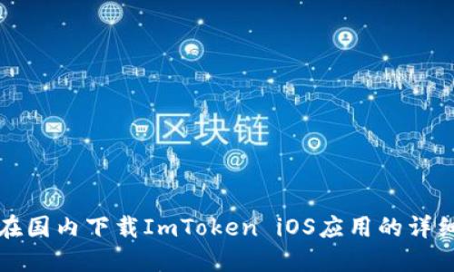 如何在国内下载ImToken iOS应用的详细指南