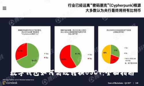 数字钱包如何高效转换USDT：全面指南