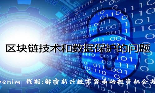 : Tokenim 钱别：解密新兴数字货币的投资机会与风险