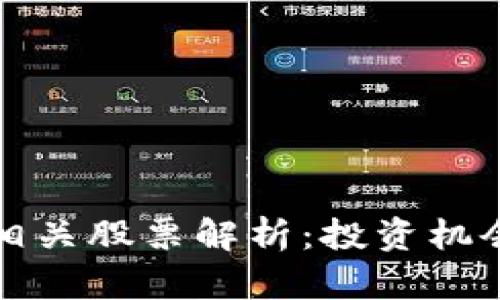 区块链支付相关股票解析：投资机会与市场趋势