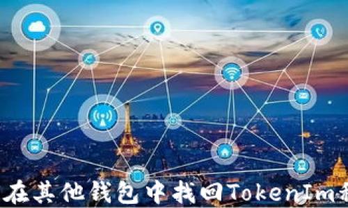 
如何在其他钱包中找回TokenIm私钥？