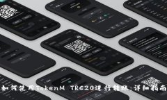 如何使用TokenM TRC20进行转账：详细指南