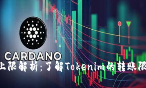 Tokenim转账上限解析：了解Tokenim的转账限制及管理策略