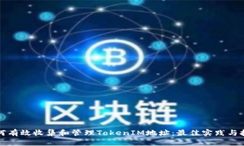 如何有效收集和管理TokenIM地址：最佳实践与技巧