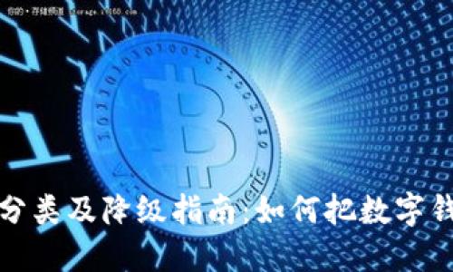 : 数字钱包分类及降级指南：如何把数字钱包降到三类