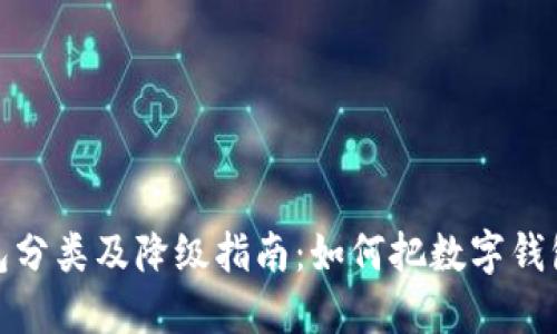 : 数字钱包分类及降级指南：如何把数字钱包降到三类