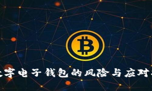 假数字电子钱包的风险与应对指南