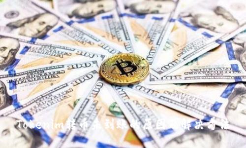 Tokenim转币未到账的原因及解决方法