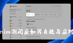 Tokenim倒闭后如何自救与应