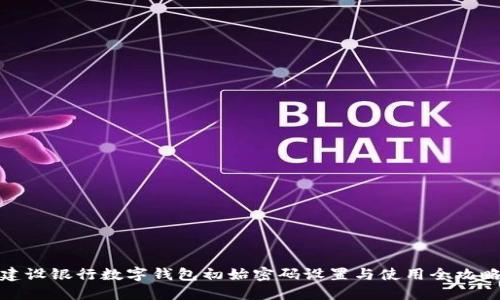 建设银行数字钱包初始密码设置与使用全攻略