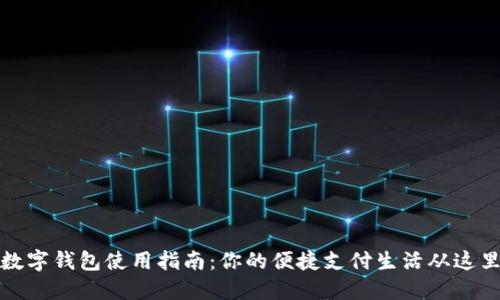 沈阳数字钱包使用指南：你的便捷支付生活从这里开始