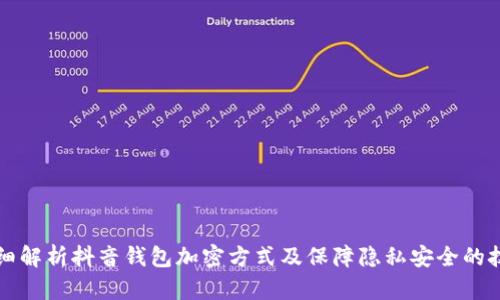 详细解析抖音钱包加密方式及保障隐私安全的技巧