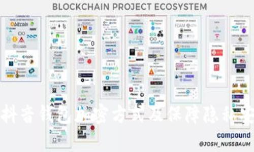 详细解析抖音钱包加密方式及保障隐私安全的技巧
