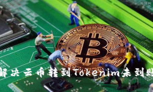 如何解决云币转到Tokenim未到账问题