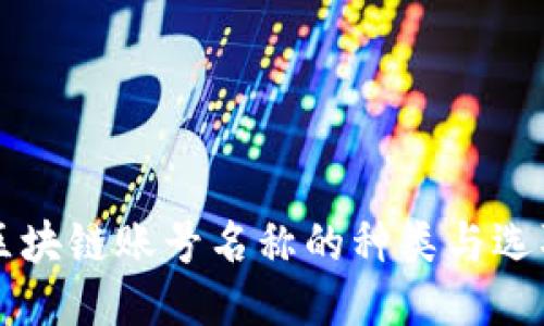 区块链账号名称的种类与选取