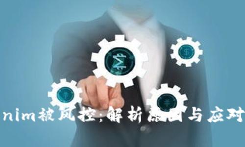 Tokenim被风控：解析原因与应对策略
