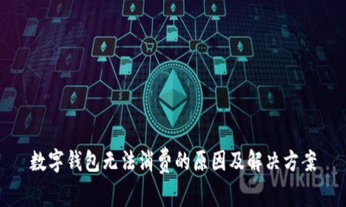 数字钱包无法消费的原因及解决方案