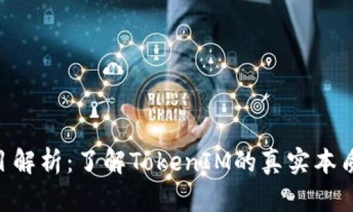 TokenIM项目解析：了解TokenIM的真实本质与潜在风险