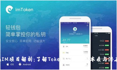 TokenIM项目解析：了解TokenIM的真实本质与潜在风险