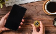   鱼池与ImToken：数字资产管理的最佳选择 /  gua